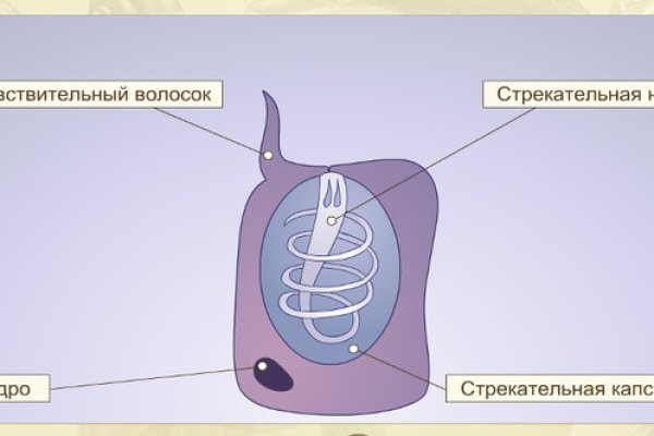 Kra40at