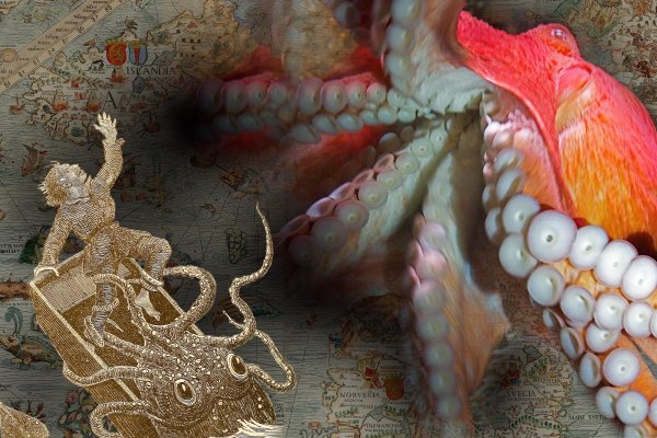 Kraken в россии