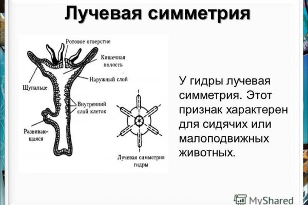 Магазин кракен даркнететамбов